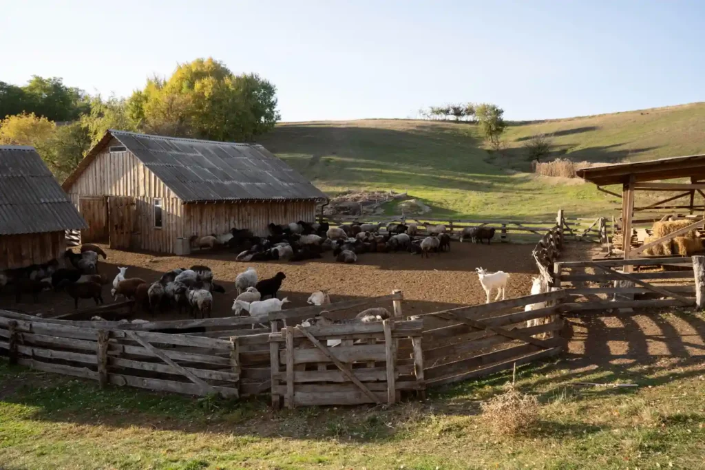 The Hidden Intelligence of Livestock