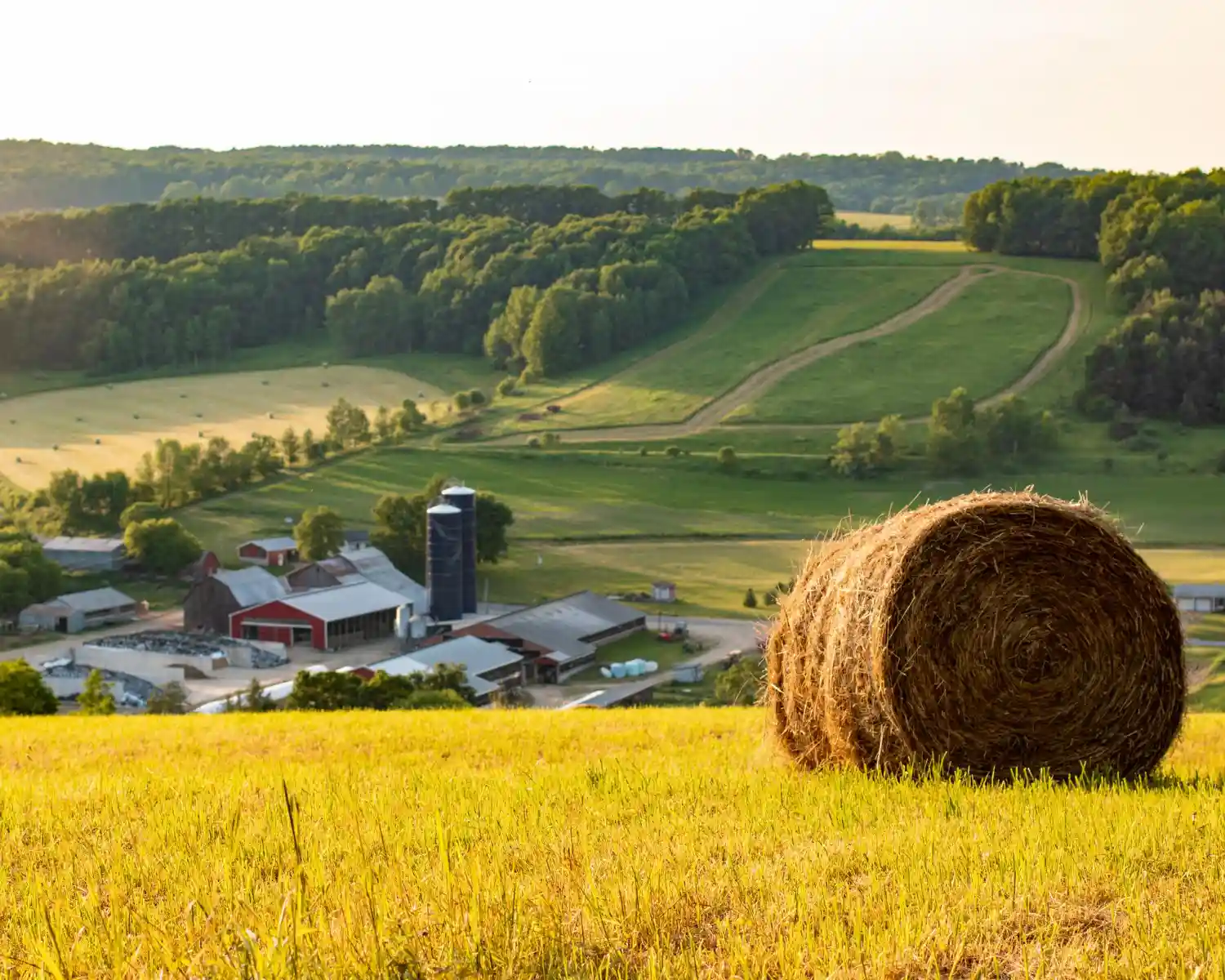 The Symbiosis of Farm Life